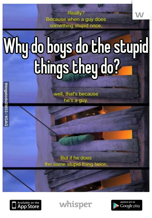 Why do boys do the stupid things they do?
