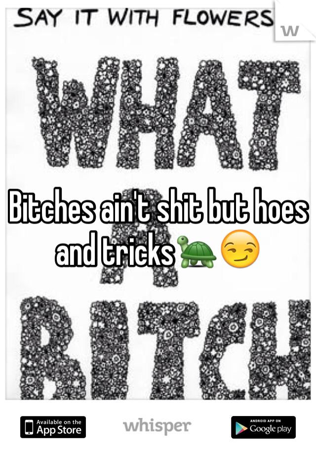 Bitches ain't shit but hoes and tricks🐢😏