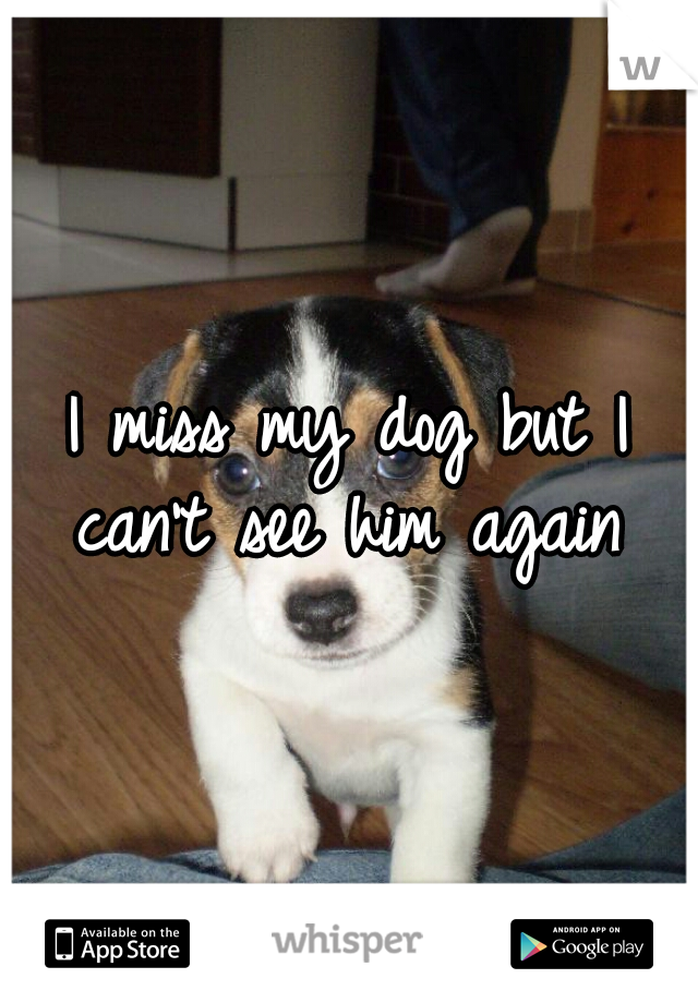 I miss my dog but I can't see him again 