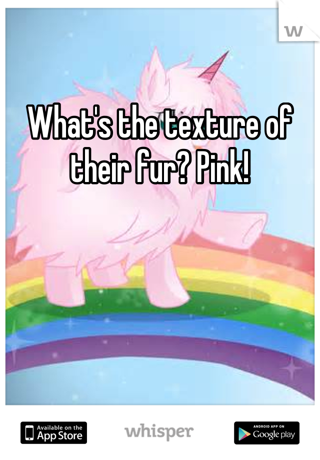 What's the texture of their fur? Pink!