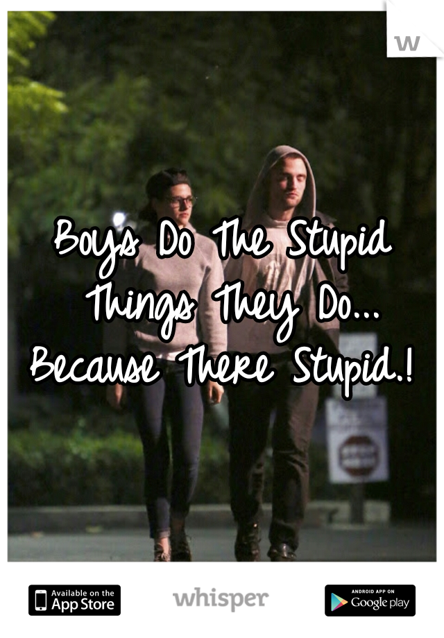 Boys Do The Stupid Things They Do... Because There Stupid.! 