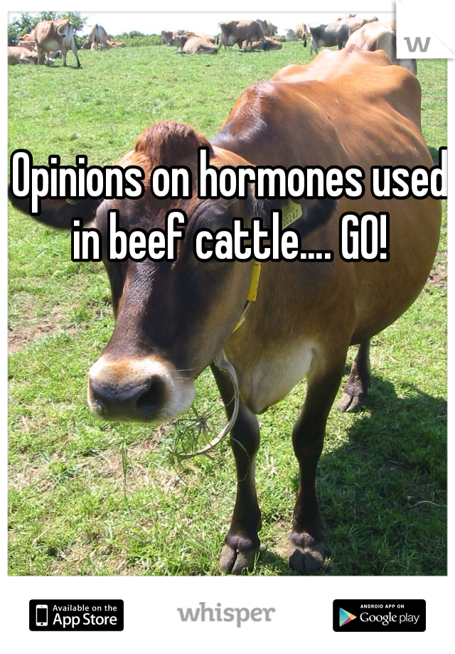 Opinions on hormones used in beef cattle.... GO!