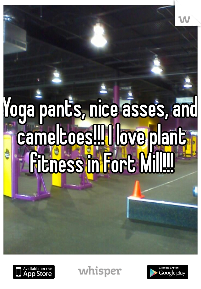 Yoga pants, nice asses, and cameltoes!!! I love plant fitness in Fort Mill!!!