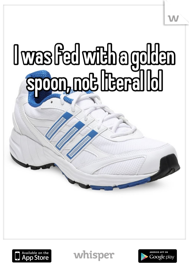 I was fed with a golden spoon, not literal lol
