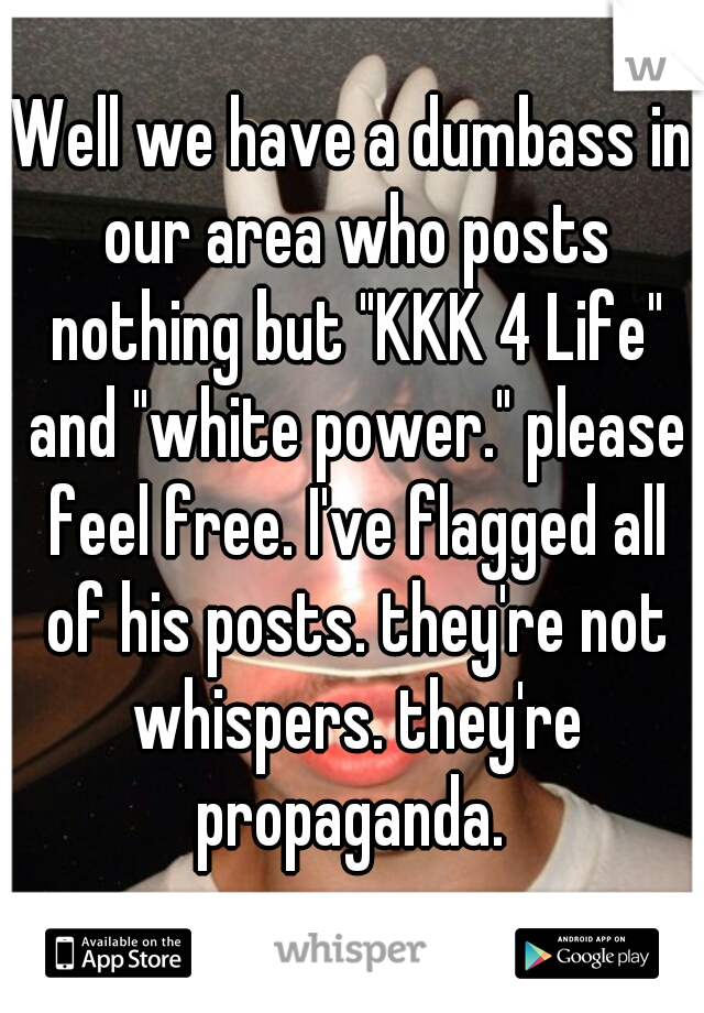 Well we have a dumbass in our area who posts nothing but "KKK 4 Life" and "white power." please feel free. I've flagged all of his posts. they're not whispers. they're propaganda. 