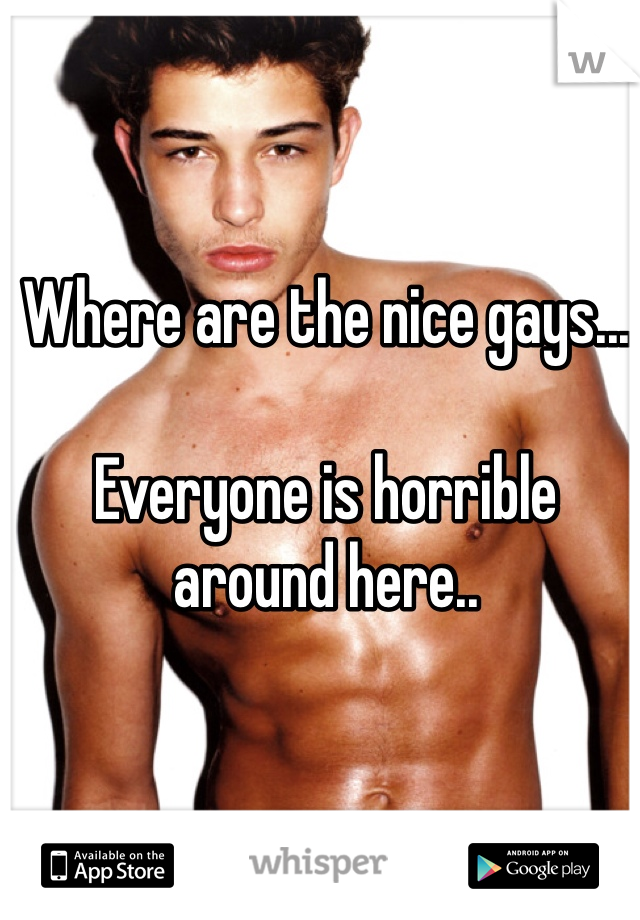 Where are the nice gays...

Everyone is horrible around here..