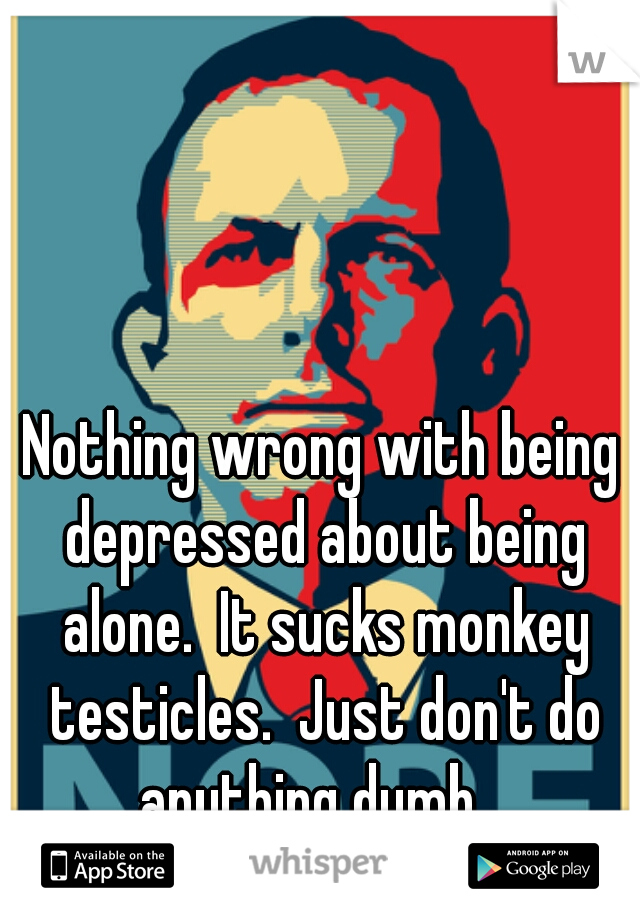 Nothing wrong with being depressed about being alone.  It sucks monkey testicles.  Just don't do anything dumb.  
Be positive. :) 