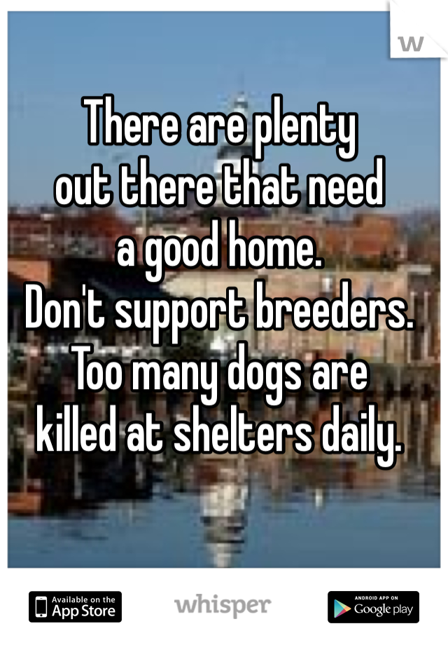 There are plenty 
out there that need
a good home. 
Don't support breeders. 
Too many dogs are 
killed at shelters daily. 