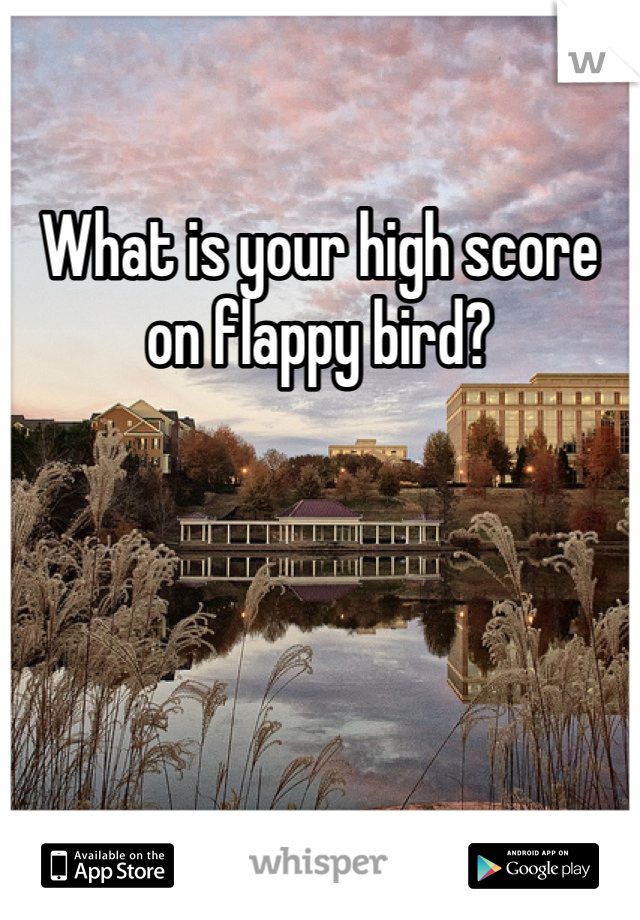 What is your high score on flappy bird?

