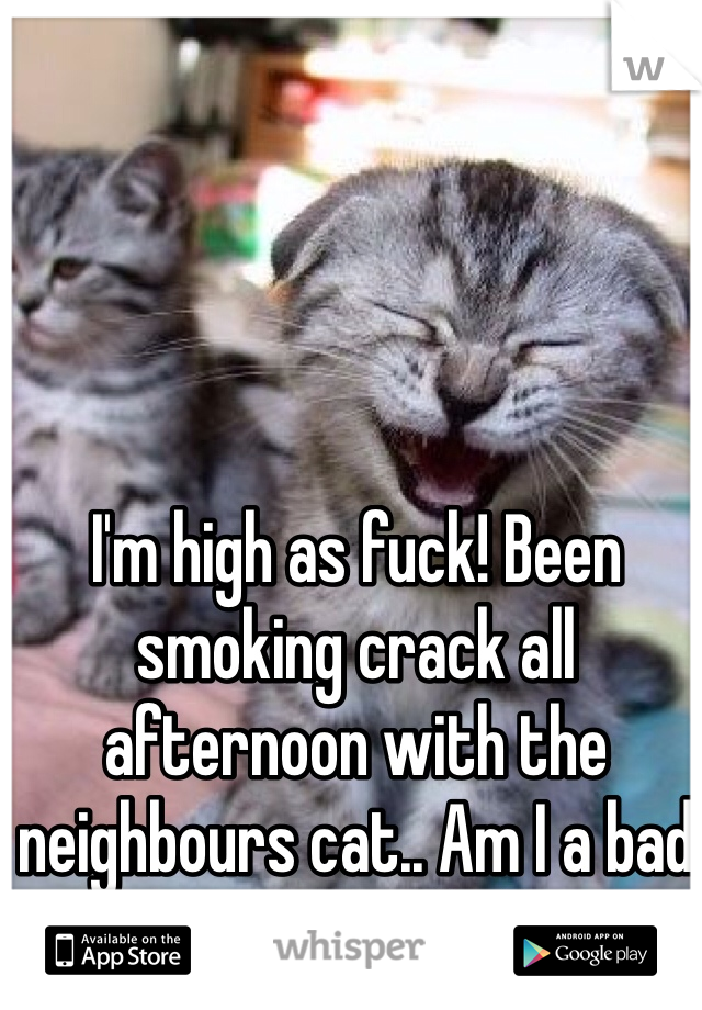 I'm high as fuck! Been smoking crack all afternoon with the neighbours cat.. Am I a bad person?! #yolo 
