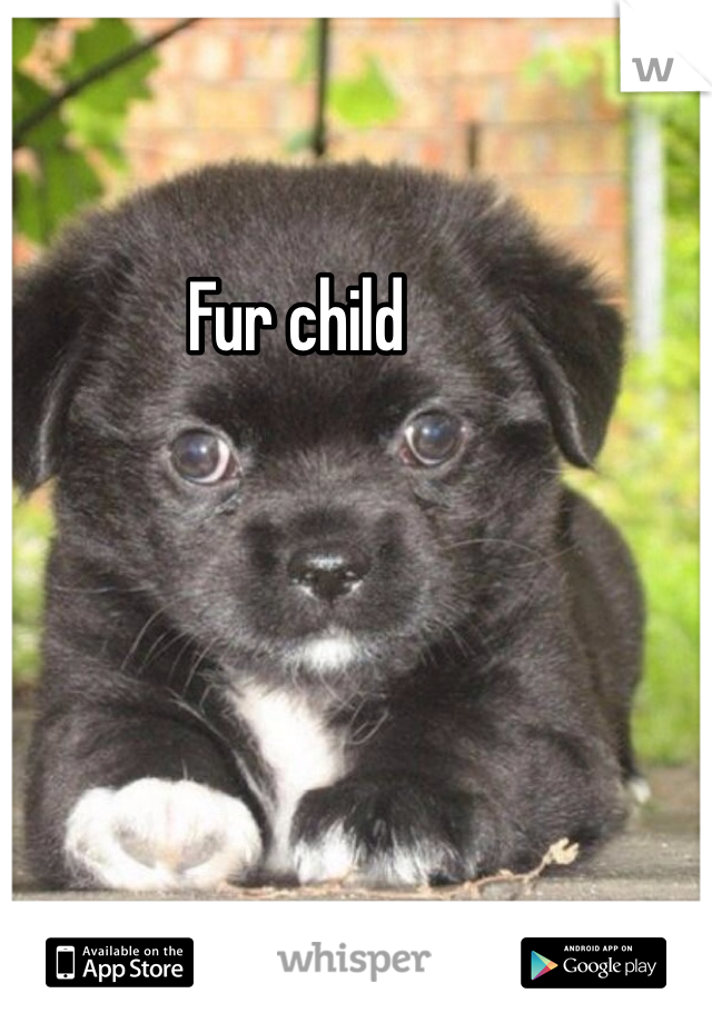 Fur child 