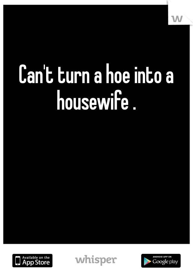 Can't turn a hoe into a housewife .