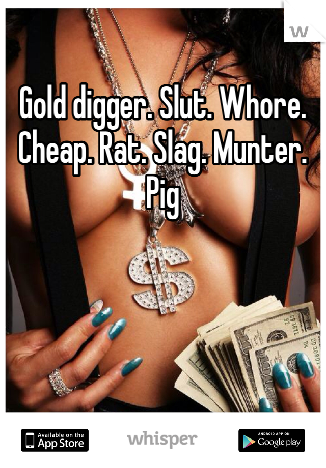 Gold digger. Slut. Whore. Cheap. Rat. Slag. Munter. Pig