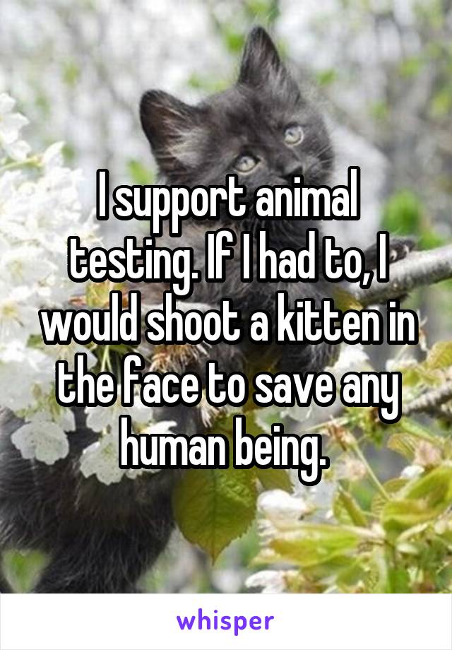 I support animal testing. If I had to, I would shoot a kitten in the face to save any human being. 