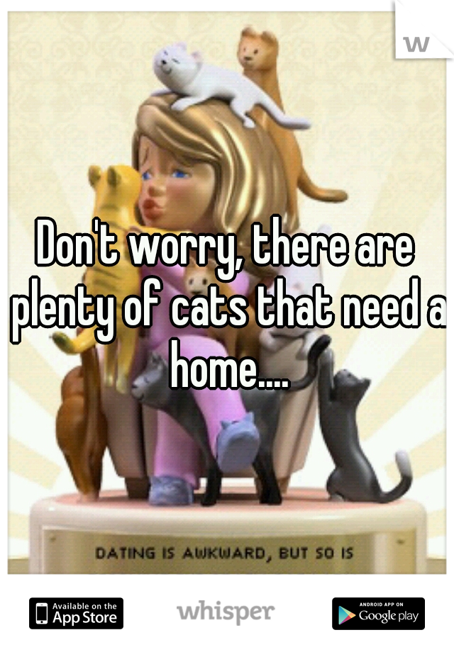Don't worry, there are plenty of cats that need a home....