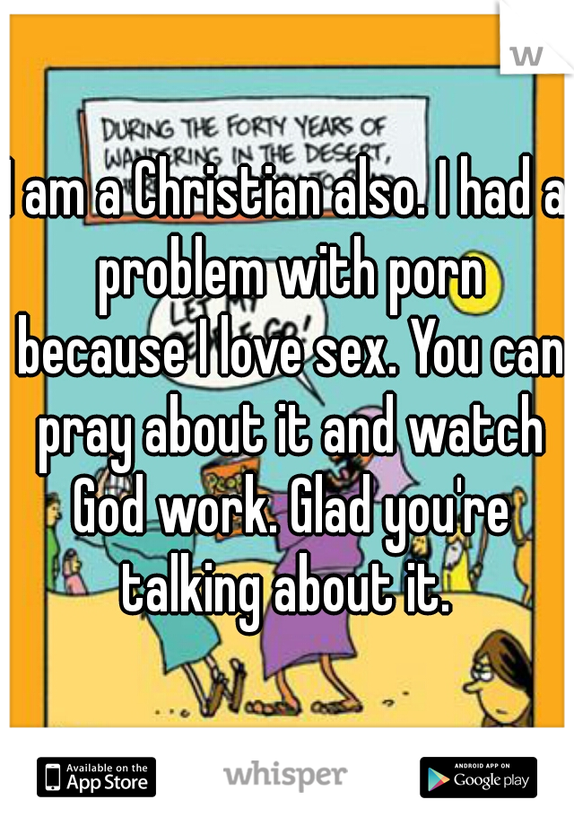 I am a Christian also. I had a problem with porn because I love sex. You can pray about it and watch God work. Glad you're talking about it. 