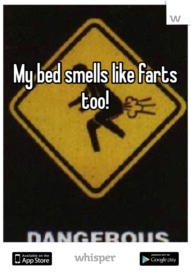 My bed smells like farts too!