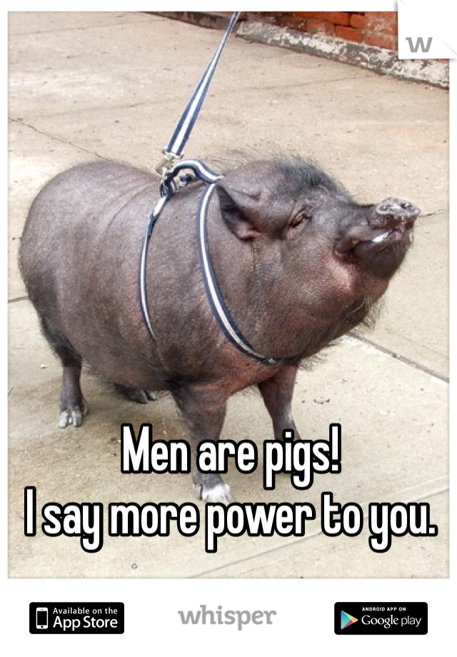 Men are pigs! 
I say more power to you. 