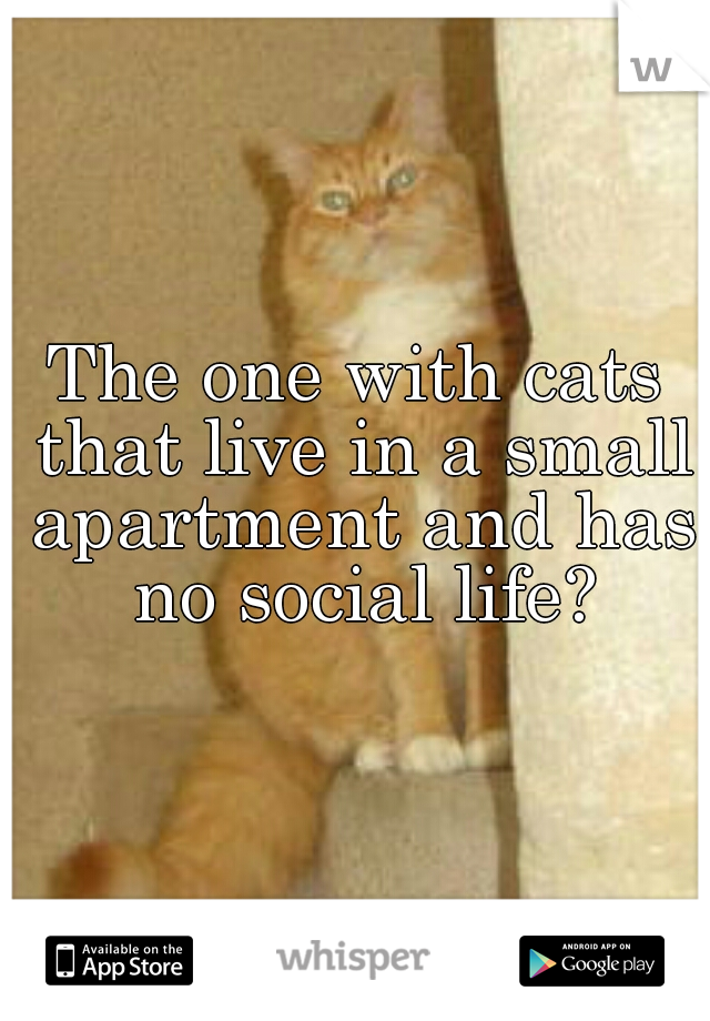 The one with cats that live in a small apartment and has no social life?
