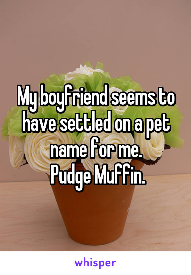 My boyfriend seems to have settled on a pet name for me.
    Pudge Muffin.   