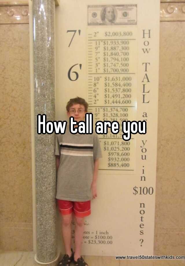 how-tall-are-you