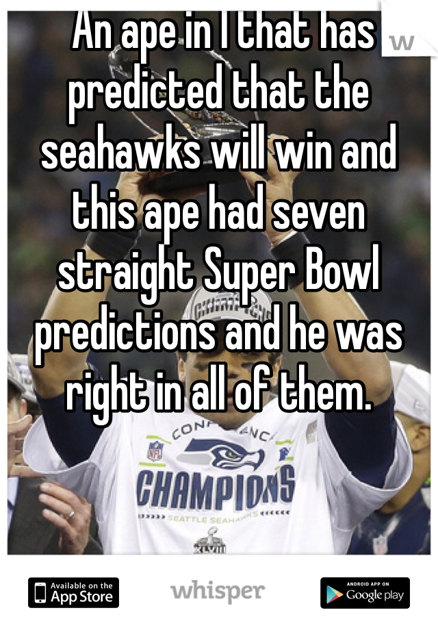  An ape in I that has predicted that the seahawks will win and this ape had seven straight Super Bowl predictions and he was right in all of them.
