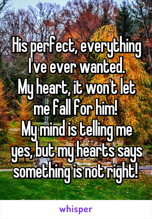 His perfect, everything I've ever wanted.
My heart, it won't let me fall for him! 
My mind is telling me yes, but my hearts says something is not right! 