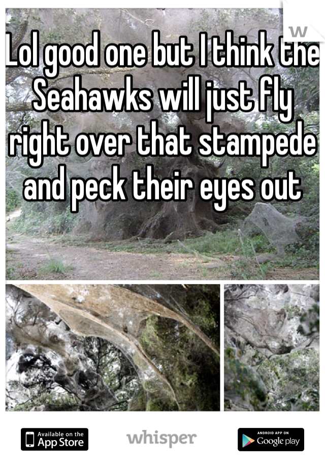 Lol good one but I think the Seahawks will just fly right over that stampede and peck their eyes out