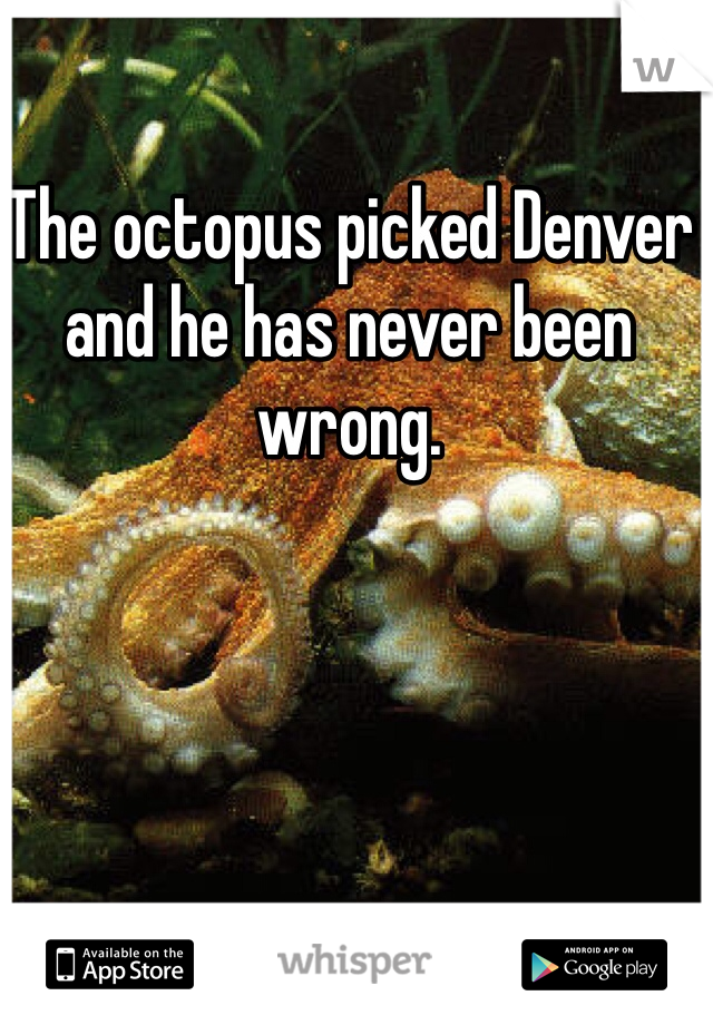 The octopus picked Denver and he has never been wrong. 