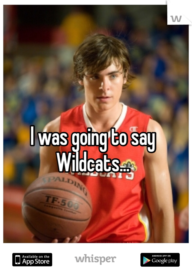 I was going to say Wildcats...