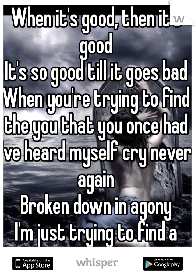 When it's good, then it's good
It's so good till it goes bad
When you're trying to find the you that you once had
I've heard myself cry never again
Broken down in agony
I'm just trying to find a friend