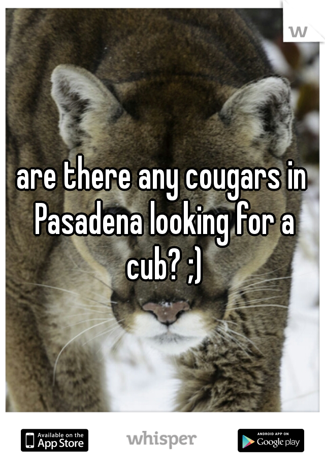 are there any cougars in Pasadena looking for a cub? ;)