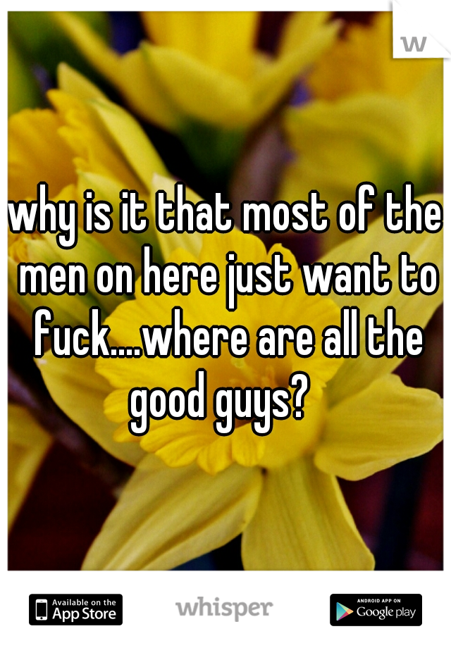 why is it that most of the men on here just want to fuck....where are all the good guys?  