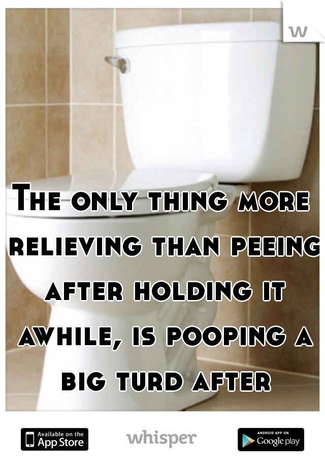 The only thing more relieving than peeing after holding it awhile, is pooping a big turd after holding it awhile. 