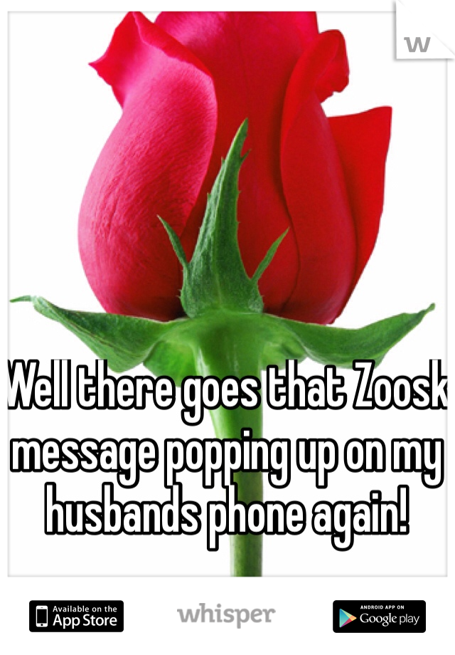 Well there goes that Zoosk message popping up on my husbands phone again!  