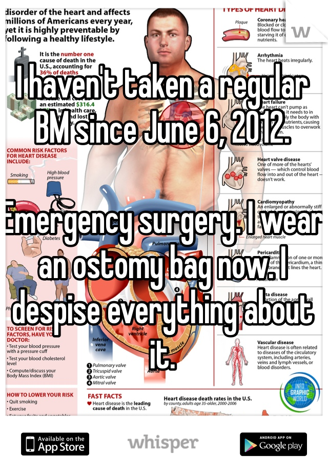 I haven't taken a regular BM since June 6, 2012.

Emergency surgery. I wear an ostomy bag now. I despise everything about it.