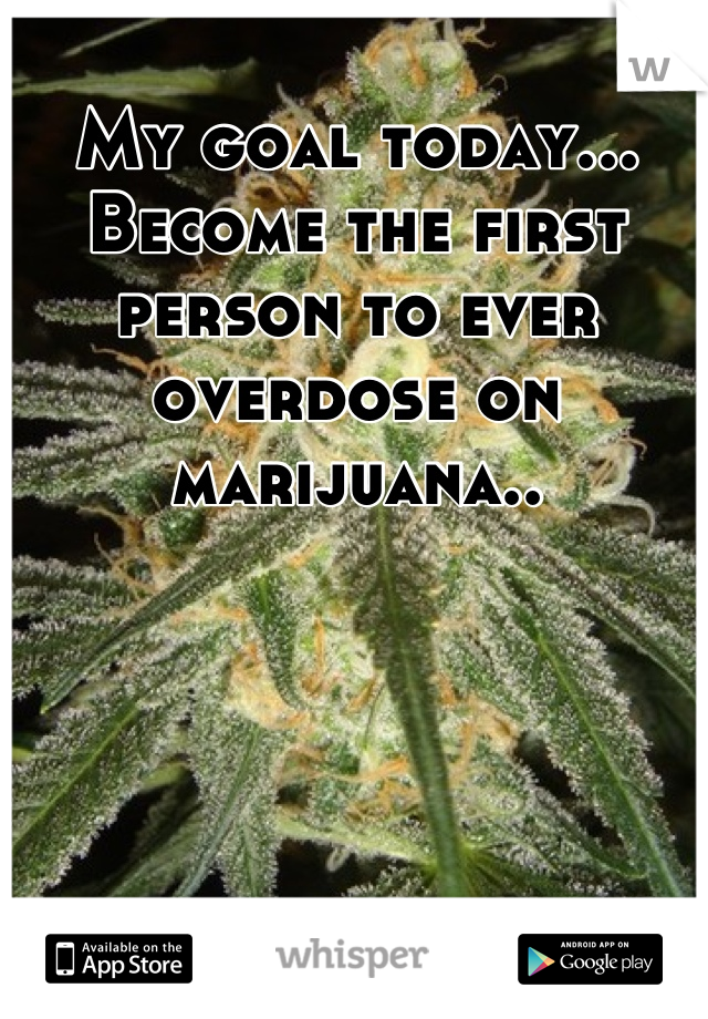 My goal today... Become the first person to ever overdose on marijuana..