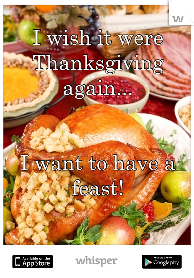 I wish it were Thanksgiving again...


I want to have a feast!