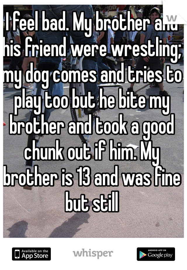 I feel bad. My brother and his friend were wrestling; my dog comes and tries to play too but he bite my brother and took a good chunk out if him. My brother is 13 and was fine but still 