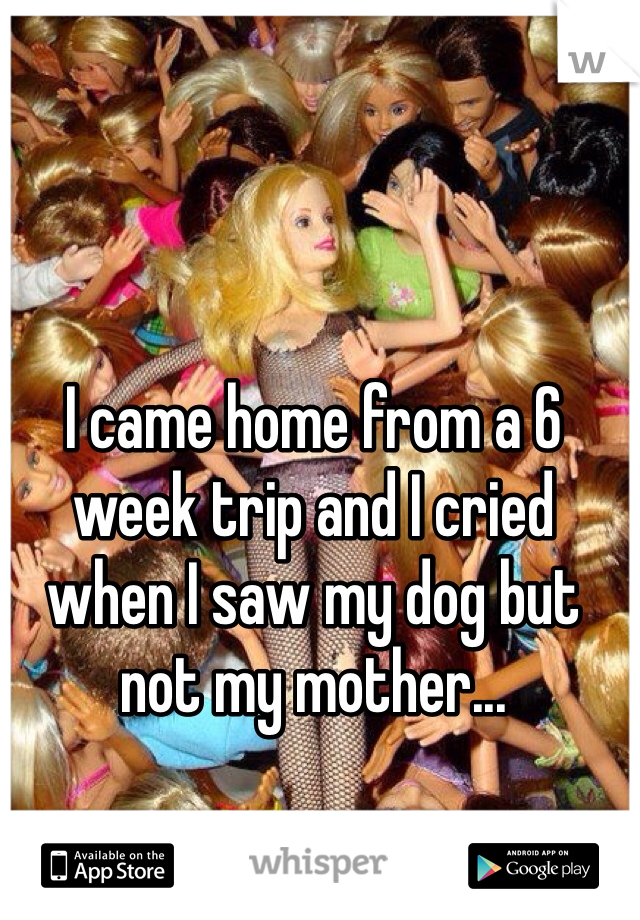 I came home from a 6 week trip and I cried when I saw my dog but not my mother...