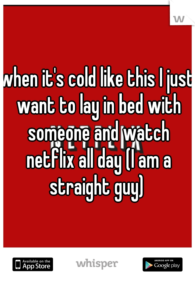 when it's cold like this I just want to lay in bed with someone and watch netflix all day (I am a straight guy) 