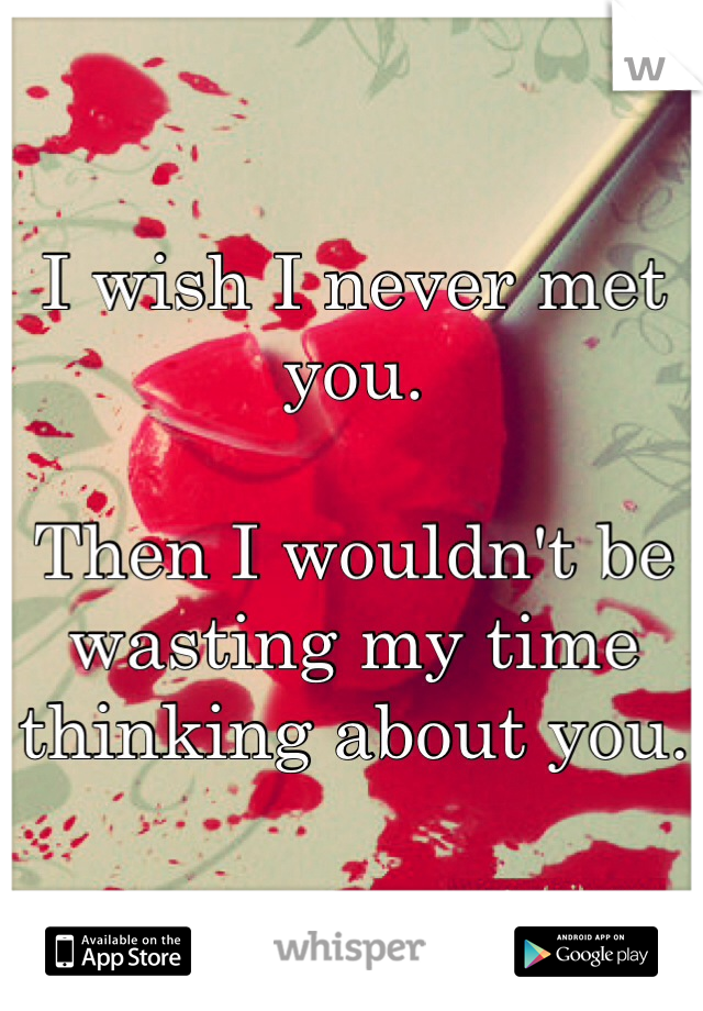 I wish I never met you.

Then I wouldn't be wasting my time thinking about you. 