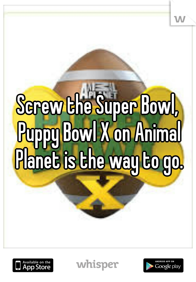 Screw the Super Bowl, Puppy Bowl X on Animal Planet is the way to go.