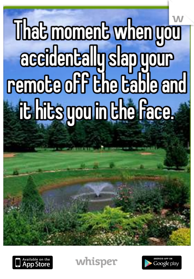 That moment when you accidentally slap your remote off the table and it hits you in the face. 