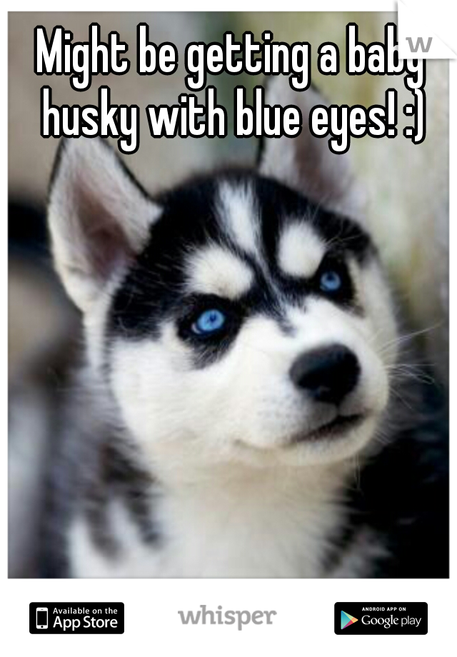 Might be getting a baby husky with blue eyes! :)