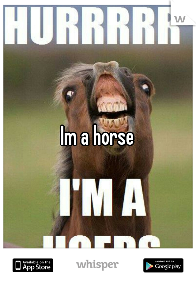 Im a horse
