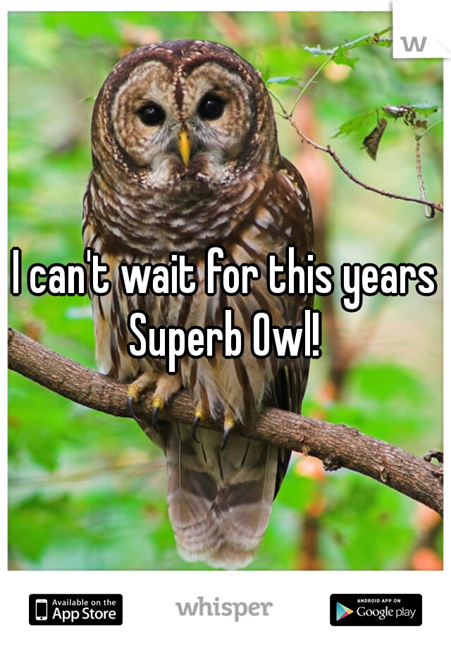 I can't wait for this years Superb Owl! 