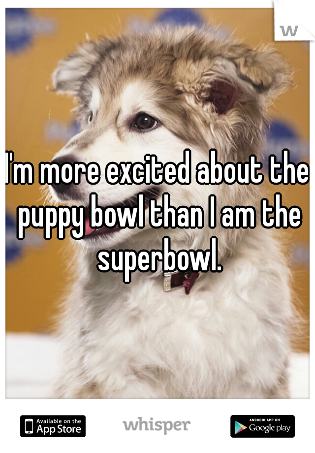 I'm more excited about the puppy bowl than I am the superbowl.