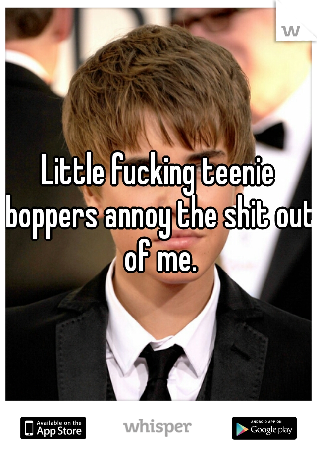 Little fucking teenie boppers annoy the shit out of me.