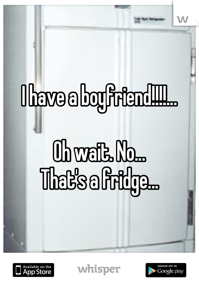  


I have a boyfriend!!!!...

Oh wait. No...
That's a fridge...